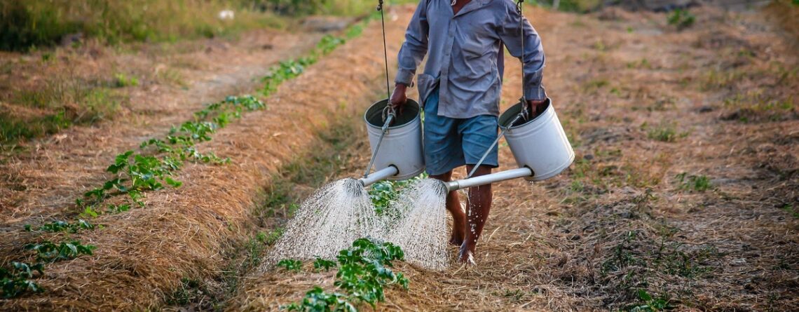 México. Proponen establecer pensión para las y los trabajadores del campo, se otorgaría por medio de la creación de un fondo de pensión rural