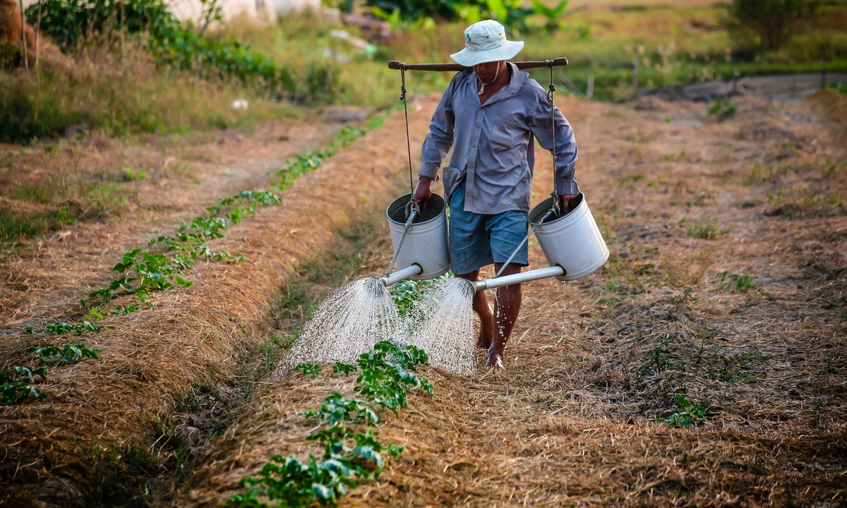 México. Proponen establecer pensión para las y los trabajadores del campo, se otorgaría por medio de la creación de un fondo de pensión rural