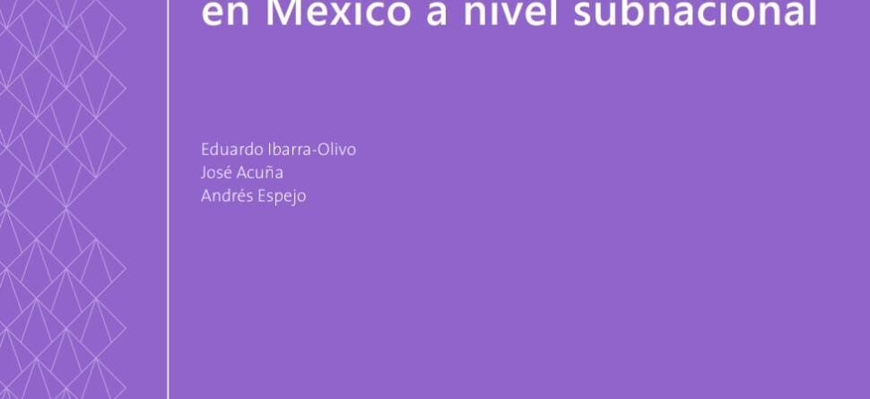 Estimación de la informalidad en México a nivel subnacional